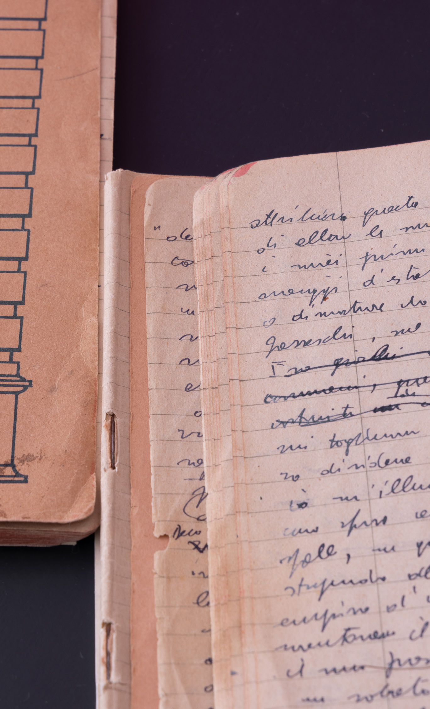 The precious original manuscripts testifying to the young poet's creative fervor.